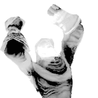 dmkg