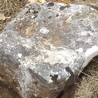 Gost 159545